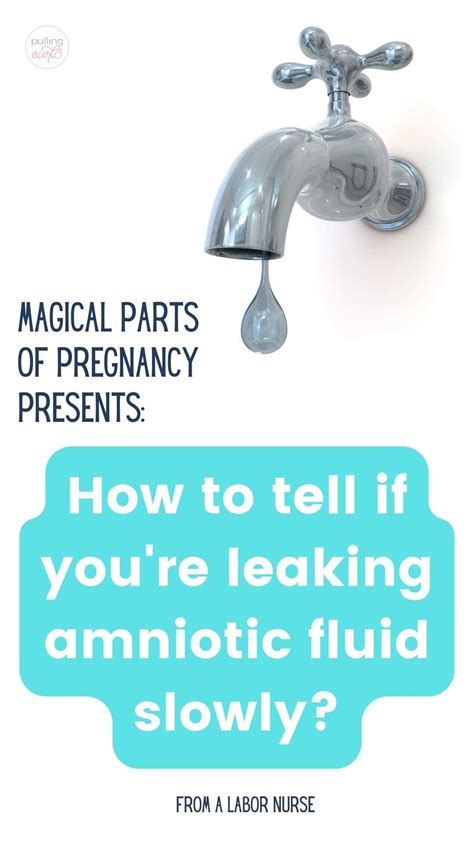 how to tell if your leaking amniotic fluid|Amniotic Fluid: What is It and Signs of Leaking